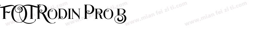FOT-Rodin Pro B字体转换
